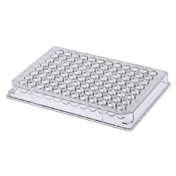 96-Well Plate